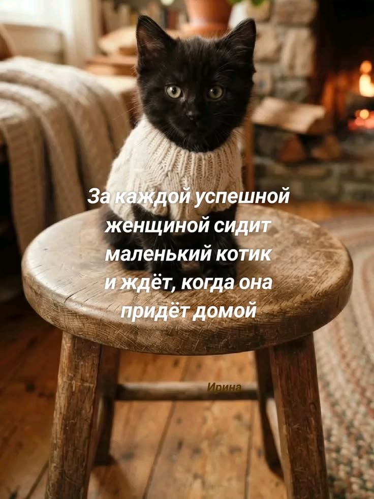 За каждой успешной женщиной сидит маленький котик и ждёт, когда она придёт домой Ирина