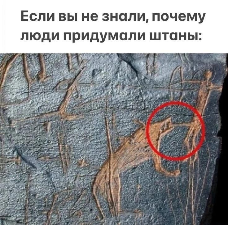 Если вы не знали, почему люди придумали штаны: