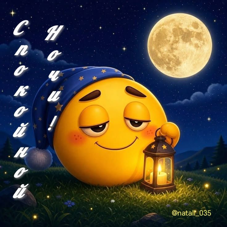 Спокойной ночи!