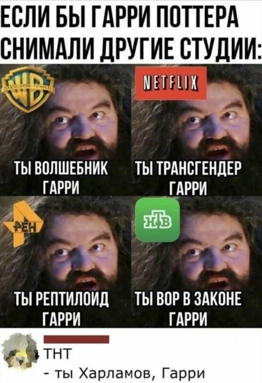 Если бы Гарри Поттера снимали другие студии: Warner Bros: Ты волшебник Гарри. Netflix: Ты трансгендер Гарри. РЕН ТВ: Ты рептилоид Гарри. НТВ: Ты вор в законе Гарри. ТНТ: Ты Харламов, Гарри.