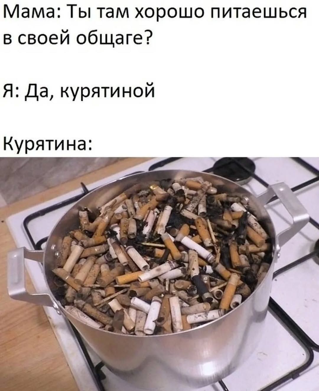 Мама: Ты там хорошо питаешься в своей общаге? Я: Да, курятиной Курятина: