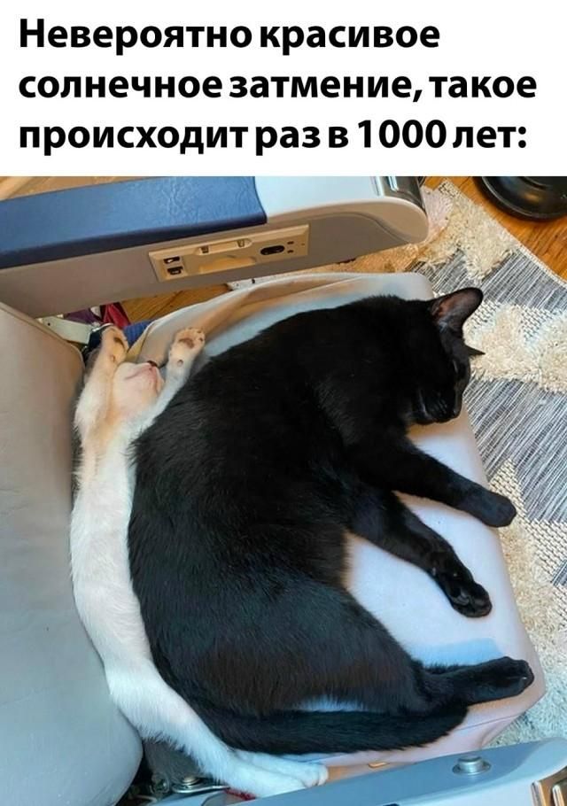 Невероятно красивое солнечное затмение, такое происходит раз в 1000 лет: