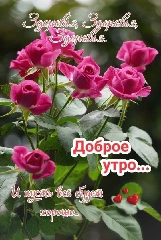 Здоровья, Здоровья, Здоровья. Доброе утро... И пусть всё будет хорошо...