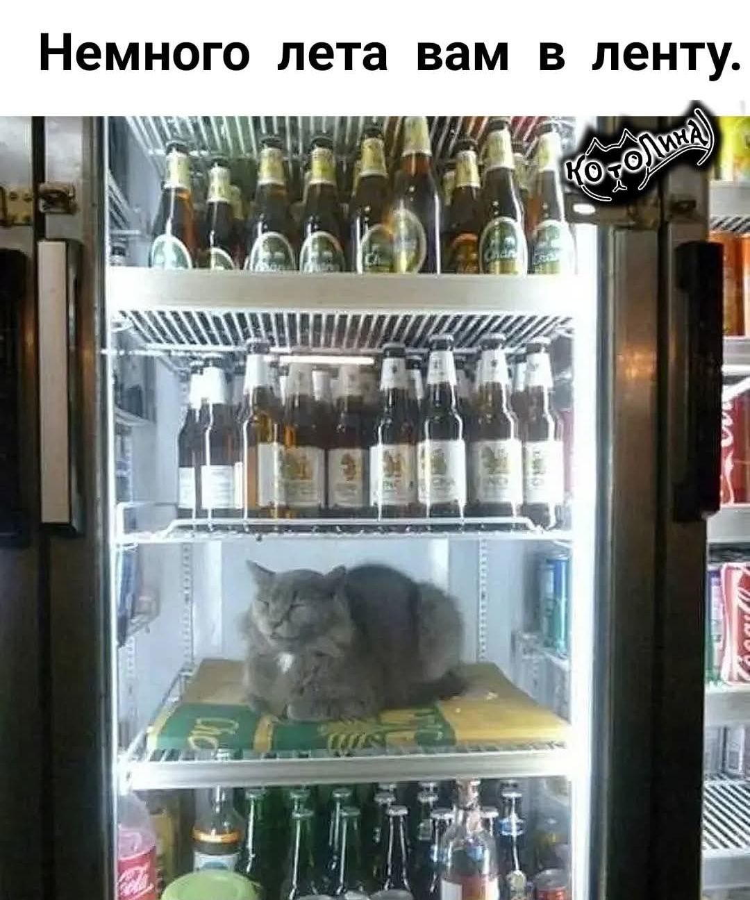 Немного лета вам в ленту.