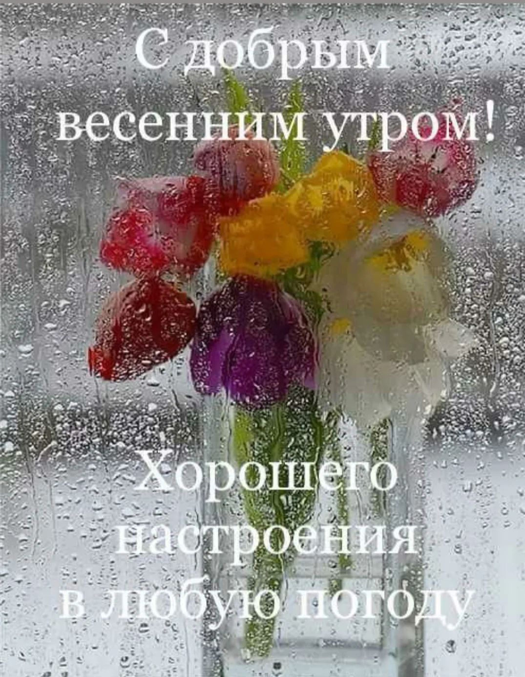 С добрым весенним утром! Хорошего настроения в любую погоду