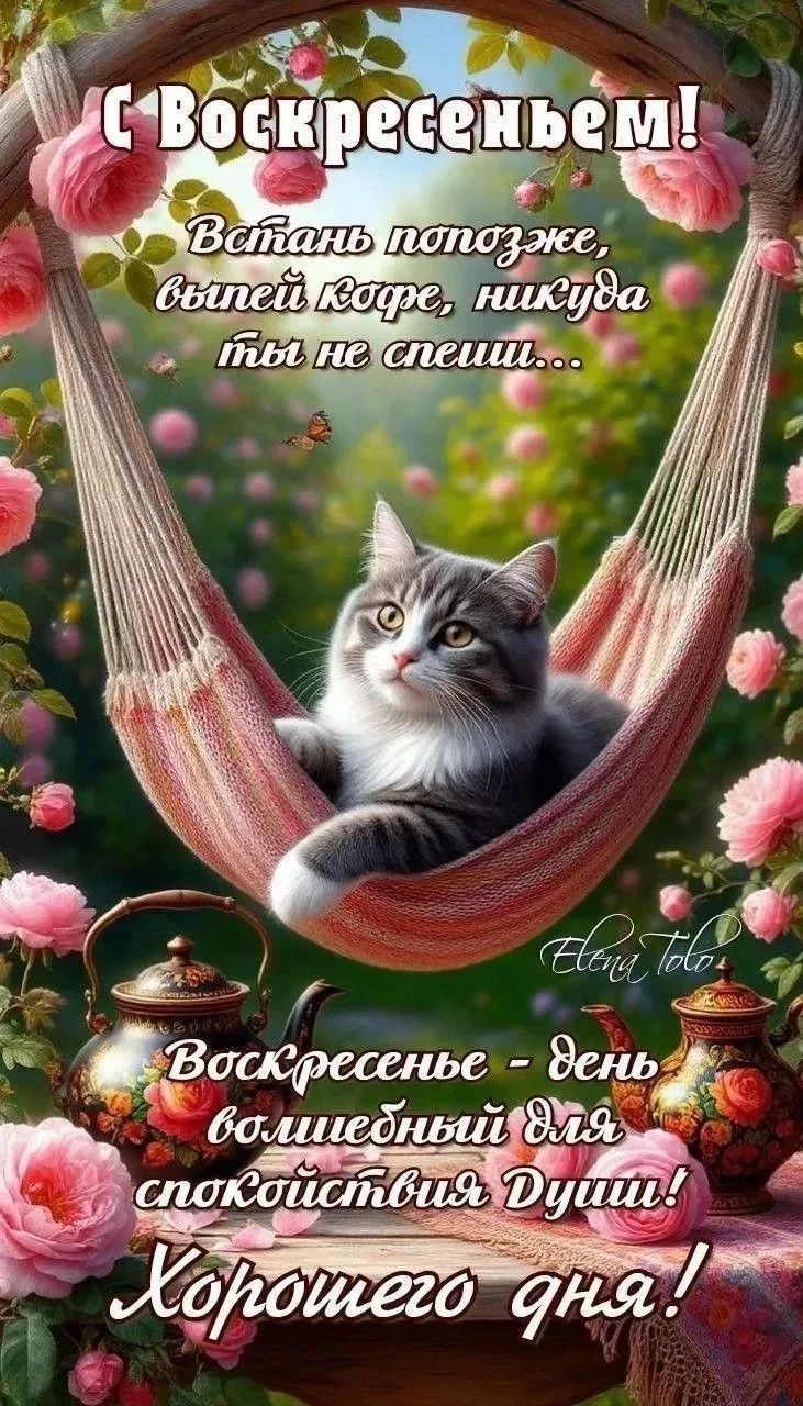 С Воскресеньем! Встань попозже, выпей кофе, никуда ты не спеши... Воскресенье - день волшебный для спокойствия Души! Хорошего дня! Elena Tolo