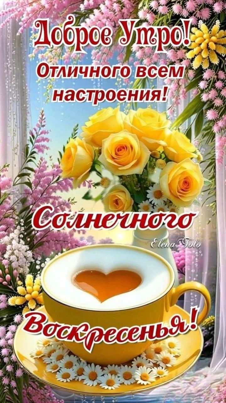 Доброе Утро! Отличного всем настроения! Солнечного Воскресенья! Elena Tolo