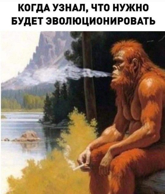 КОГДА УЗНАЛ, ЧТО НУЖНО БУДЕТ ЭВОЛЮЦИОНИРОВАТЬ
