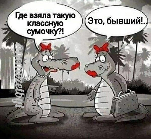 Где взяла такую классную сумочку?! Это, бывший!.