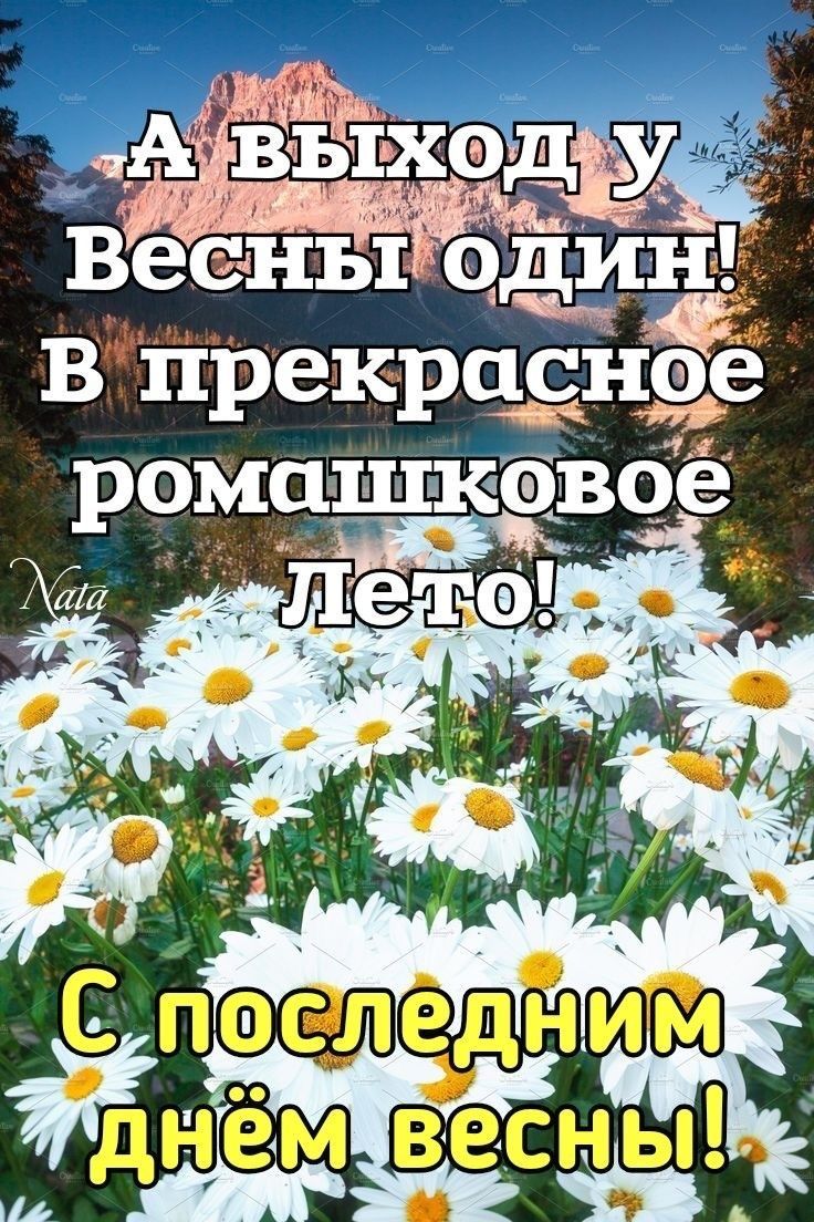 А ВЫХОД У Весны один! В прекрасное ромашковое Лето! С последним днём весны!