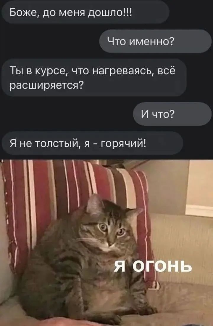 Боже, до меня дошло!!! Что именно? Ты в курсе, что нагреваясь, всё расширяется? И что? Я не толстый, я - горячий! Я огонь