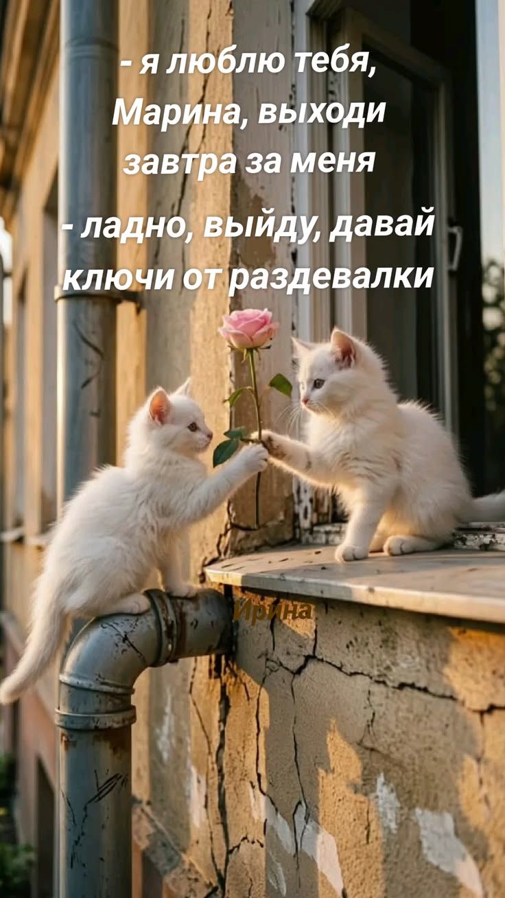 - Я люблю тебя, Марина, выходи завтра за меня
- Ладно, выйду, давай ключи от раздевалки