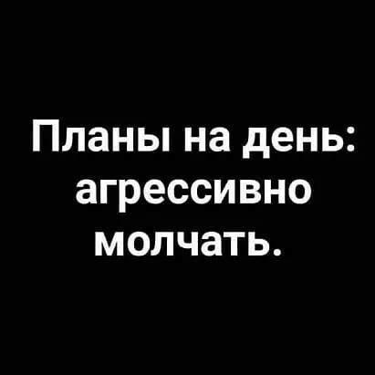 Планы на день: агрессивно молчать.