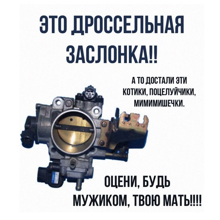 ЭТО ДРОССЕЛЬНАЯ ЗАСЛОНКА!! А ТО ДОСТАЛИ ЭТИ КОТИКИ, ПОЦЕЛУЙЧИКИ, МИМИМИШЕЧКИ. ОЦЕНИ, БУДЬ МУЖИКОМ, ТВОЮ МАТЬ!!!!