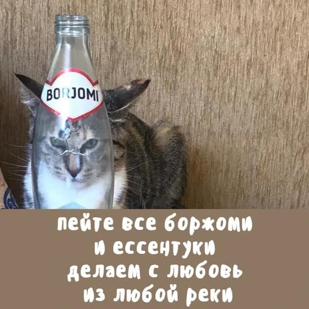 BORJOMI пейте все боржоми и ессентуки делаем с любовь из любой реки