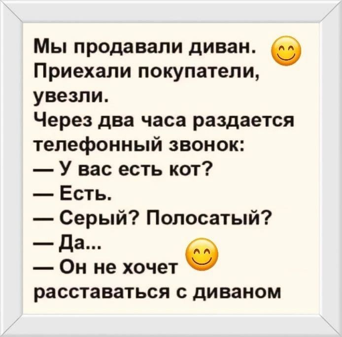 Мы продавали диван. Приехали покупатели, увезли. Через два часа раздается телефонный звонок: — У вас есть кот? — Есть. — Серый? Полосатый? — Да... — Он не хочет расставаться с диваном