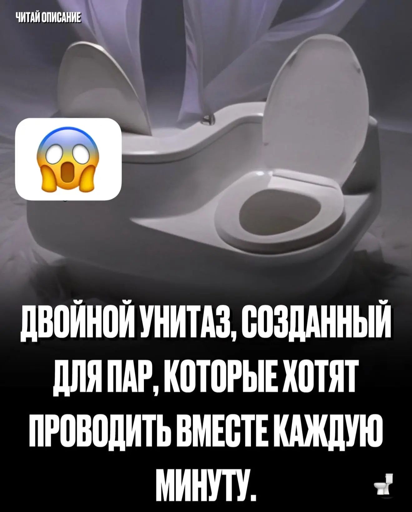 ЧИТАЙ ОПИСАНИЕ ДВОЙНОЙ УНИТАЗ, СОЗДАННЫЙ ДЛЯ ПАР, КОТОРЫЕ ХОТЯТ ПРОВОДИТЬ ВМЕСТЕ КАЖДУЮ МИНУТУ.