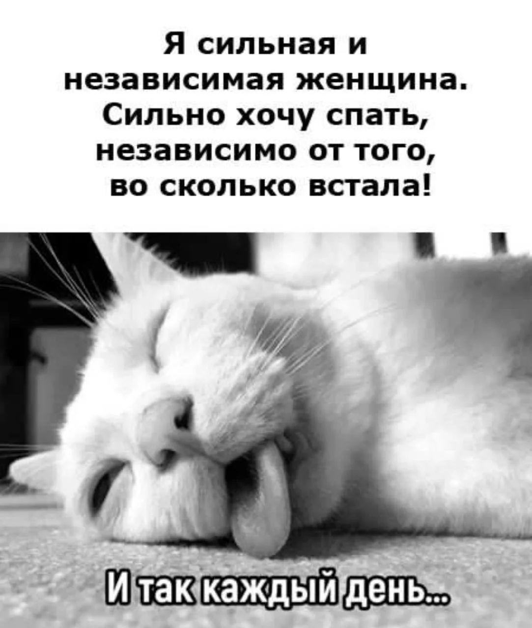 Я сильная и независимая женщина. Сильно хочу спать, независимо от того, во сколько встала! И так каждый день...