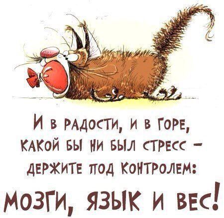 И в радости, и в горе, какой бы ни был стресс – держите под контролем: мозги, язык и вес!