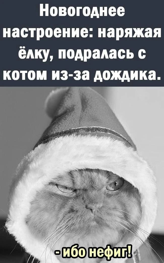Новогоднее настроение: наряжая ёлку, подралась с котом из-за дождика. - ибо нефиг!