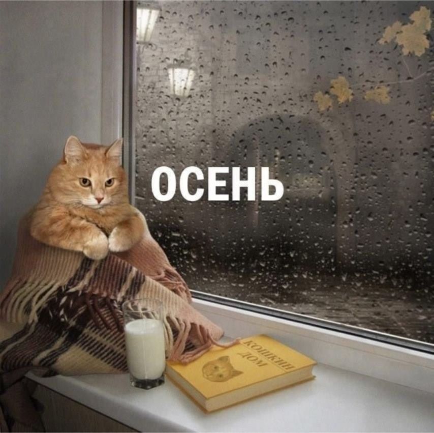 ОСЕНЬ