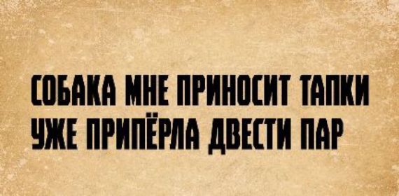 СОБАКА МНЕ ПРИНОСИТ ТАПКИ УЖЕ ПРИПЁРЛА ДВЕСТИ ПАР