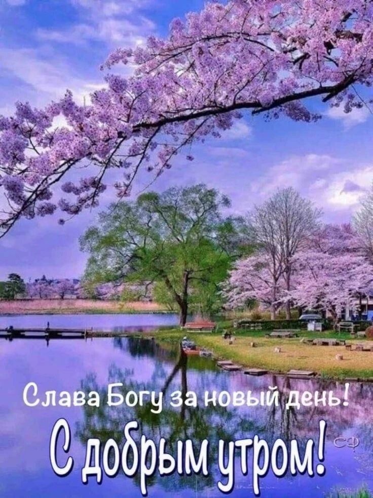Слава Богу за новый день! С добрым утром!
