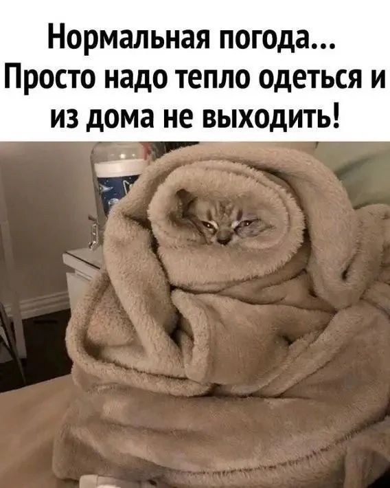 Нормальная погода... Просто надо тепло одеться и из дома не выходить!