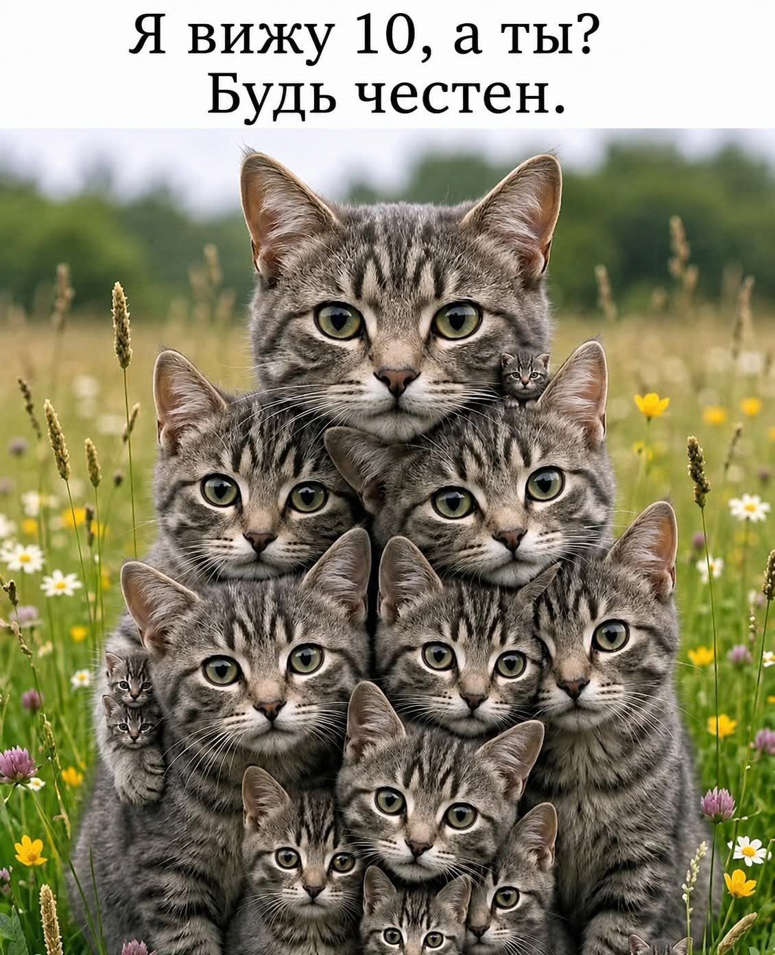 Я вижу 10, а ты? Будь честен.