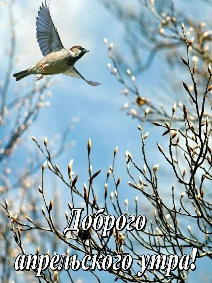 Доброго апрельского утра!