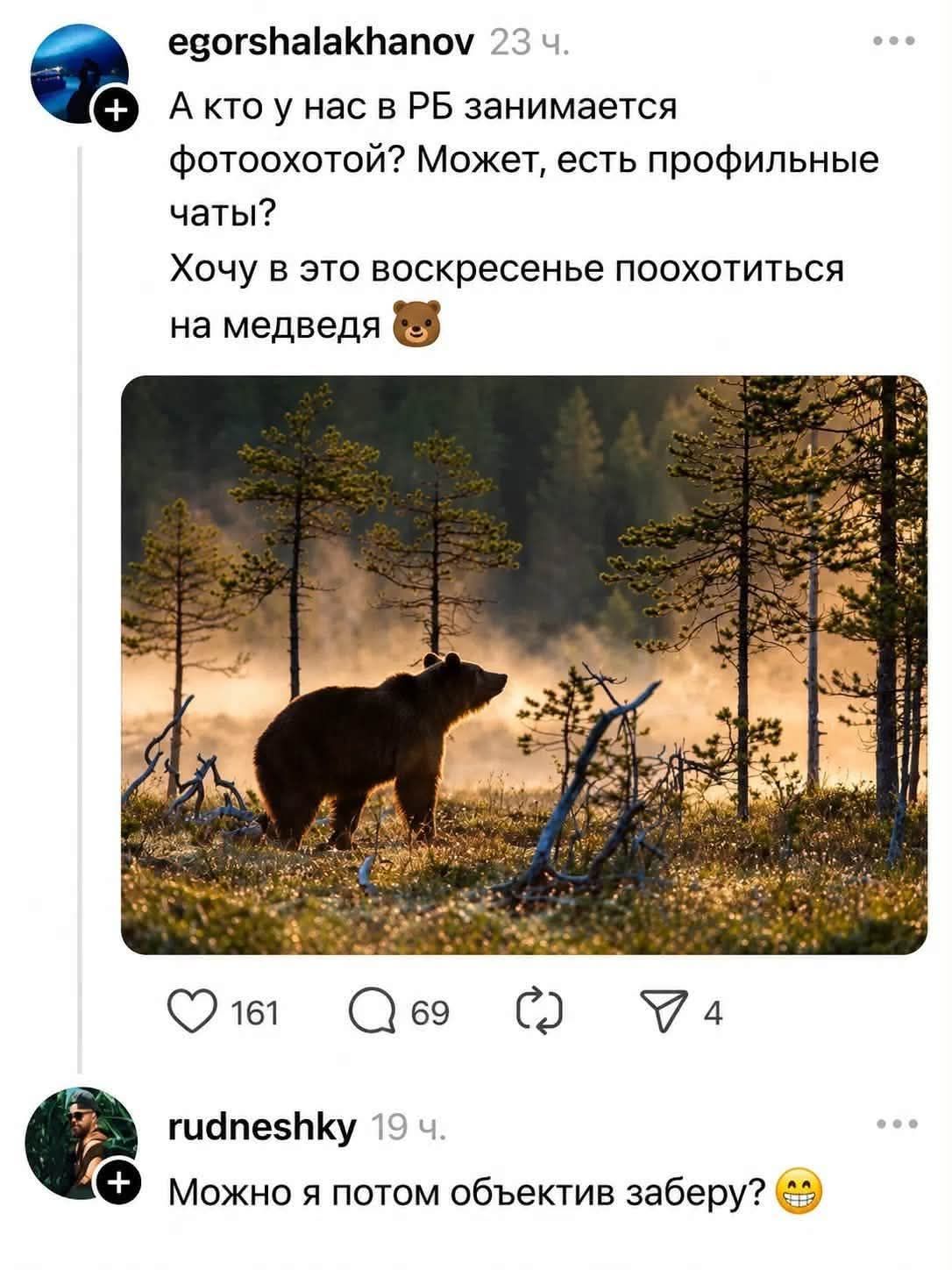 egorshalakhanov 23 ч. А кто у нас в РБ занимается фотоохотой? Может, есть профильные чаты? Хочу в это воскресенье поохотиться на медведя 🐻 [Фото медведя в лесу] rudneshky 19 ч. Можно я потом объектив заберу?
