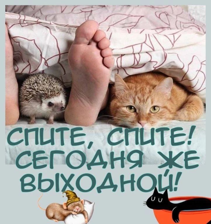 СПИТЕ, СПИТЕ! СЕГОДНЯ ЖЕ ВЫХОДНОЙ!
