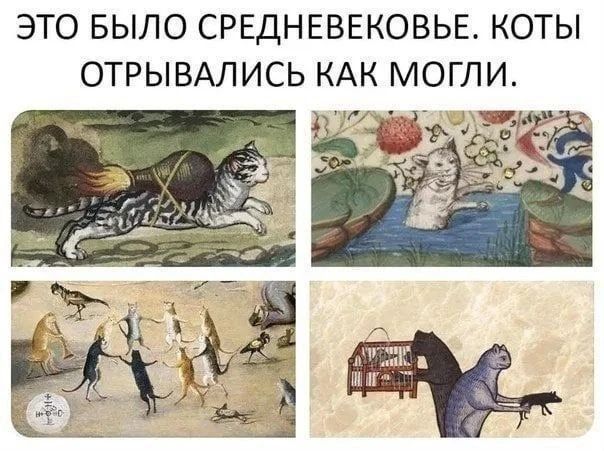 ЭТО БЫЛО СРЕДНЕВЕКОВЬЕ. КОТЫ ОТРЫВАЛИСЬ КАК МОГЛИ.