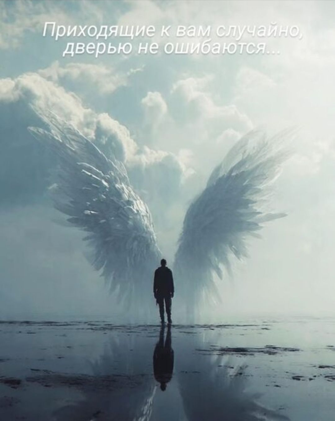 Приходящие к вам случайно, дверью не ошибаются...