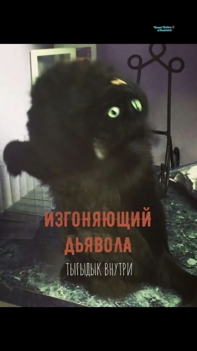 ИЗГОНЯЮЩИЙ ДЬЯВОЛА ТЫГЫДЫК ВНУТРИ