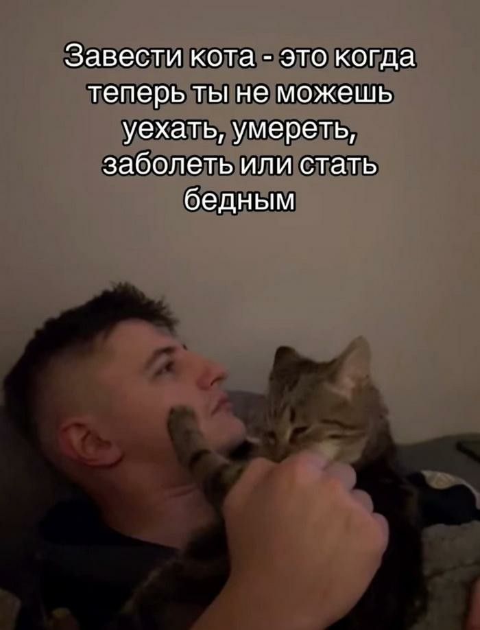 Завести кота - это когда теперь ты не можешь уехать, умереть, заболеть или стать бедным