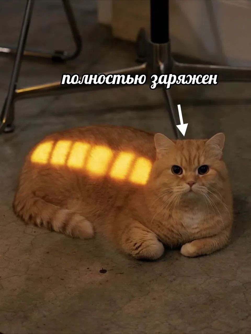 полностью заряжен