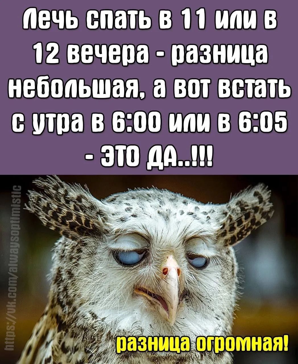 Лечь спать в 11 или в 12 вечера - разница небольшая, а вот встать с утра в 6:00 или в 6:05 - это да...!!! разница огромная!