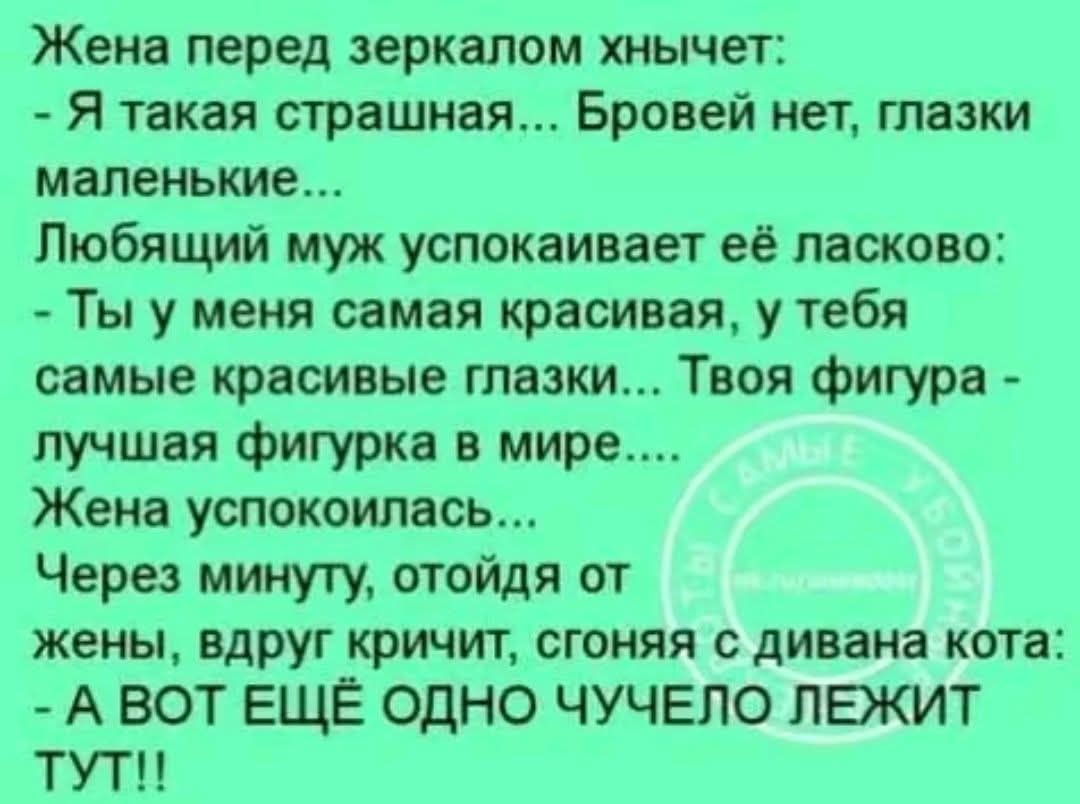 Жена перед зеркалом хнычет: - Я такая страшная... Бровей нет, глазки маленькие... Любящий муж успокаивает её ласково: - Ты у меня самая красивая, у тебя самые красивые глазки... Твоя фигура - лучшая фигурка в мире.... Жена успокоилась... Через минуту, отойдя от жены, вдруг кричит, сгоняя с дивана кота: - А ВОТ ЕЩЁ ОДНО ЧУЧЕЛО ЛЕЖИТ ТУТ!!
