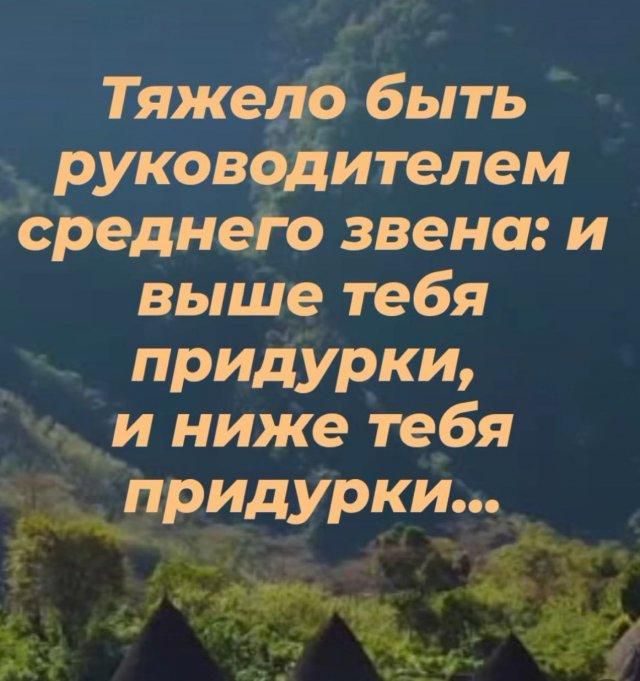 Тяжело быть руководителем среднего звена: и выше тебя придурки, и ниже тебя придурки...