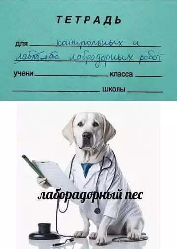 Тетрадь для контрольных и лабораторных работ. Лаборадорный пес.