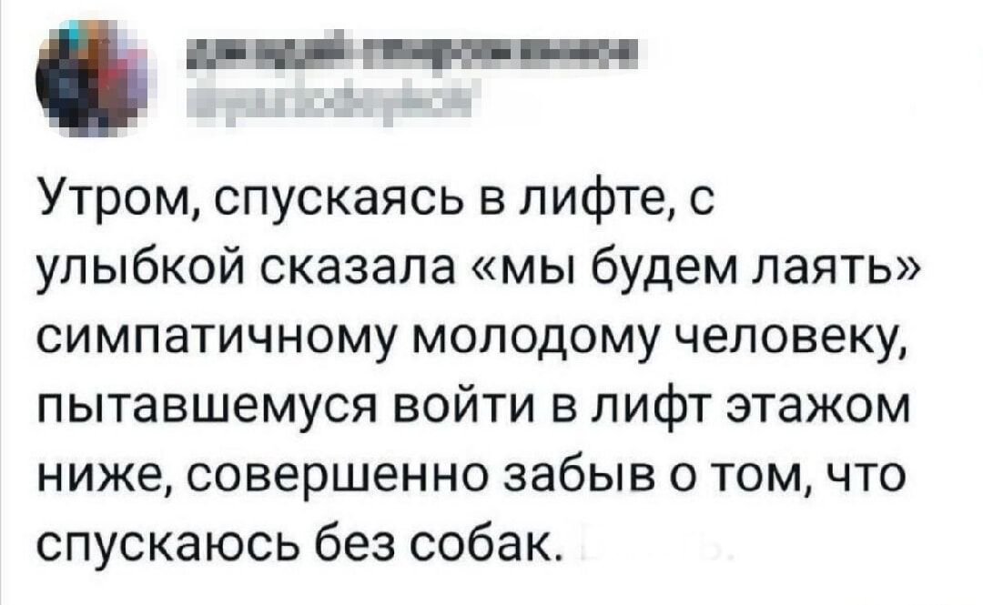 Утром, спускаясь в лифте, с улыбкой сказала «мы будем лаять» симпатичному молодому человеку, пытавшемуся войти в лифт этажом ниже, совершенно забыв о том, что спускаюсь без собак.