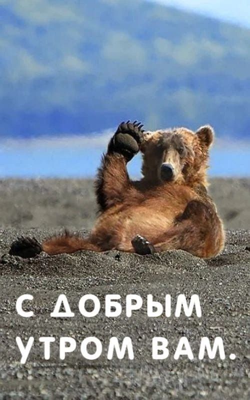 С ДОБРЫМ УТРОМ ВАМ.