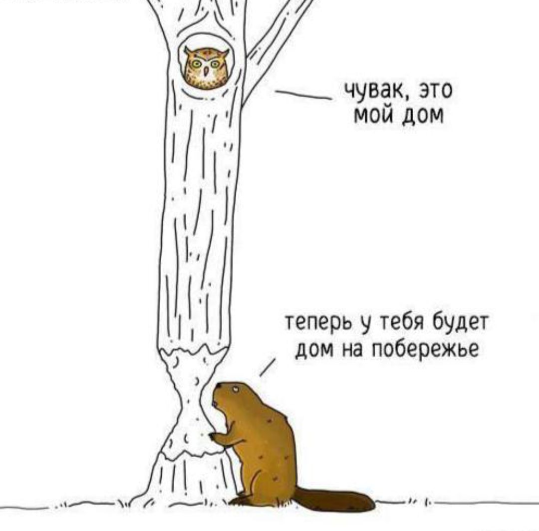 чувак, это мой дом. теперь у тебя будет дом на побережье