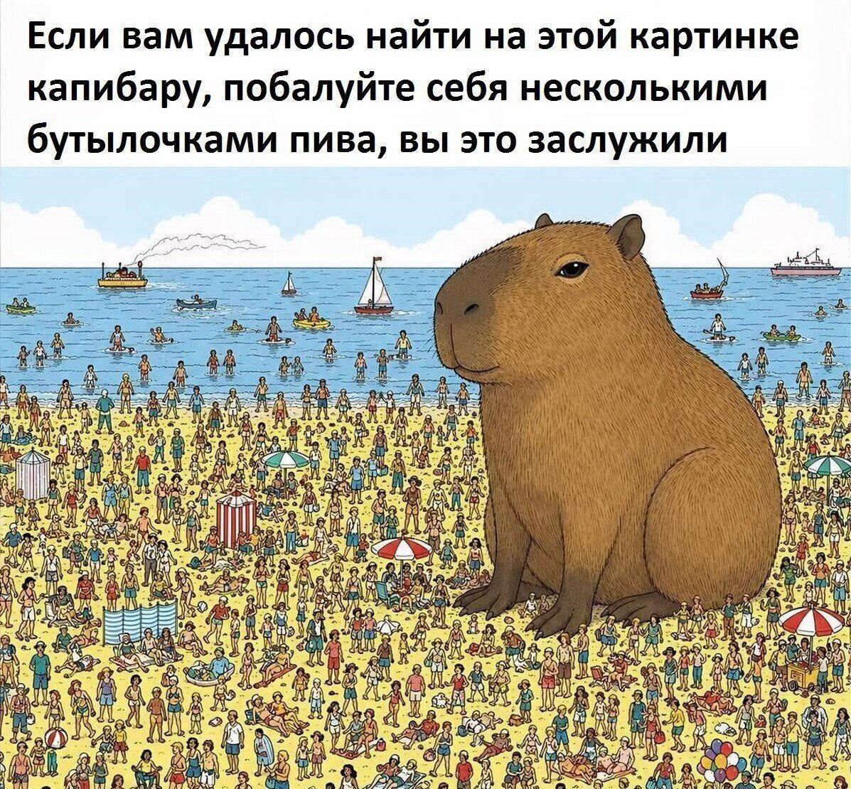 Если вам удалось найти на этой картинке капибару, побалуйте себя несколькими бутылочками пива, вы это заслужили