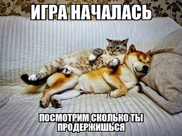 ИГРА НАЧАЛАСЬ ПОСМОТРИМ СКОЛЬКО ТЫ ПРОДЕРЖИШЬСЯ