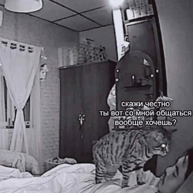 скажи честно ты вот со мной общаться вообще хочешь?