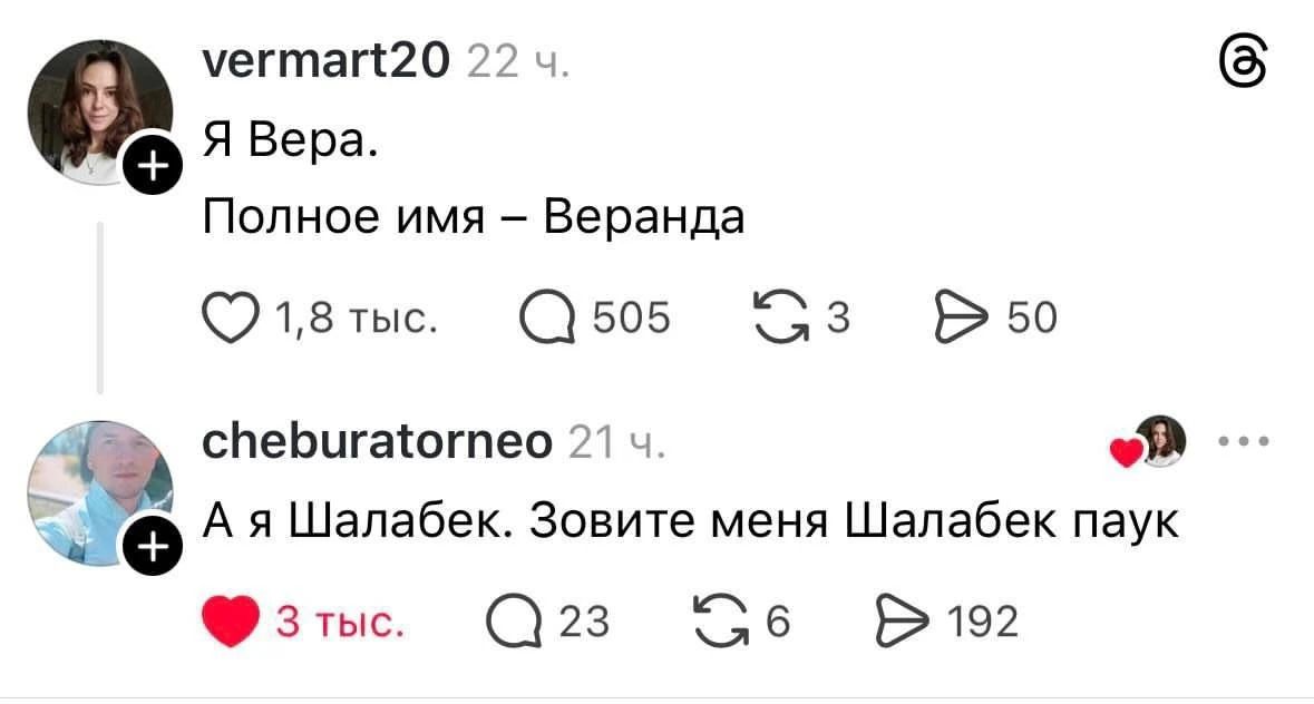 vermart20 22 ч. Я Вера. Полное имя – Веранда. cheburatorneo 21 ч. А я Шалабек. Зовите меня Шалабек паук.