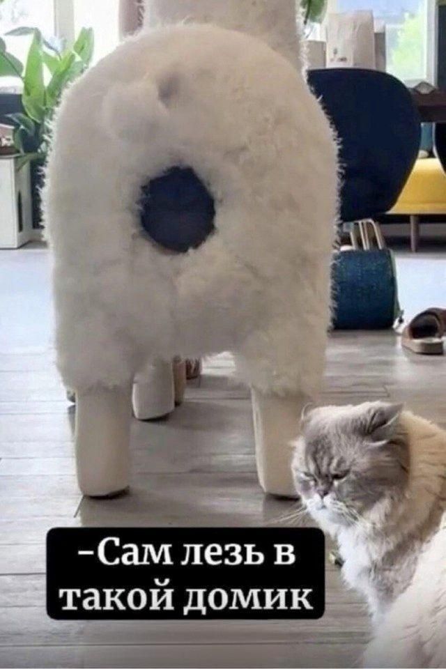 Сам лезь в такой домик