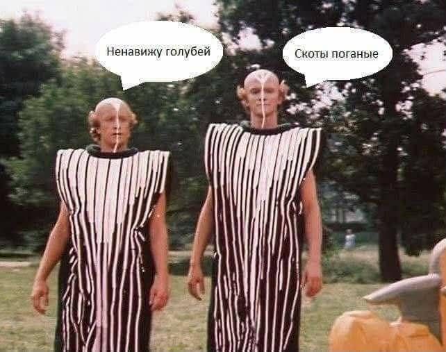 Ненавижу голубей. Скоты поганые.